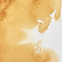 Vista 232 de Winsor & Newton - Pintura para acuarela profesional