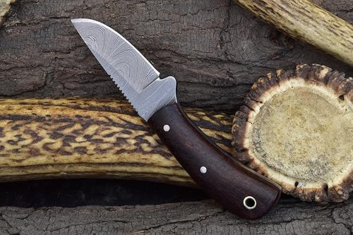 Miniatura 9 de Knives Ranch Cuchillo Dandy estilo vaquero de 5-12 pulgadas  Mango de palo de rosa  Funda de transporte horizontal de cuero genuino ajuste cómodo