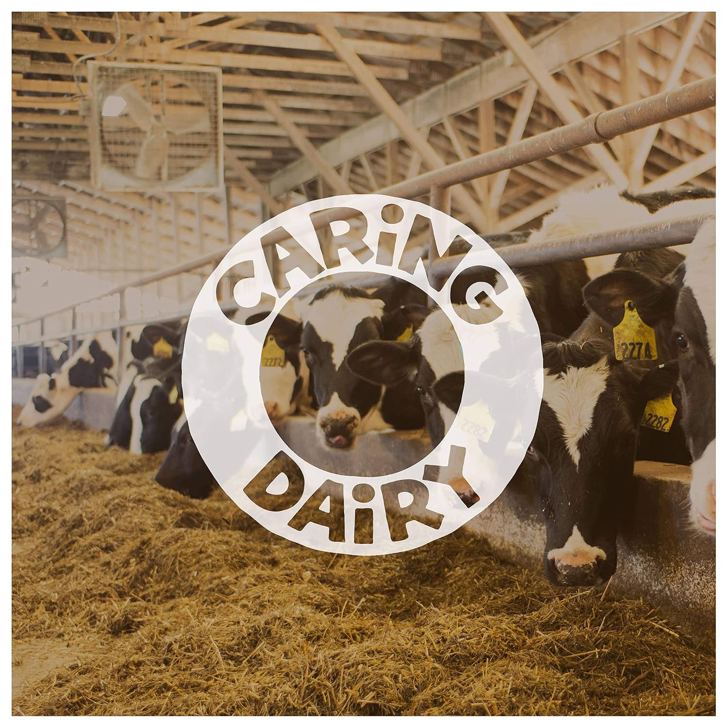 Ben & Jerry's Ice Cream Everything But Theâ€¦ Non-GMO, One PINT(473 ML)