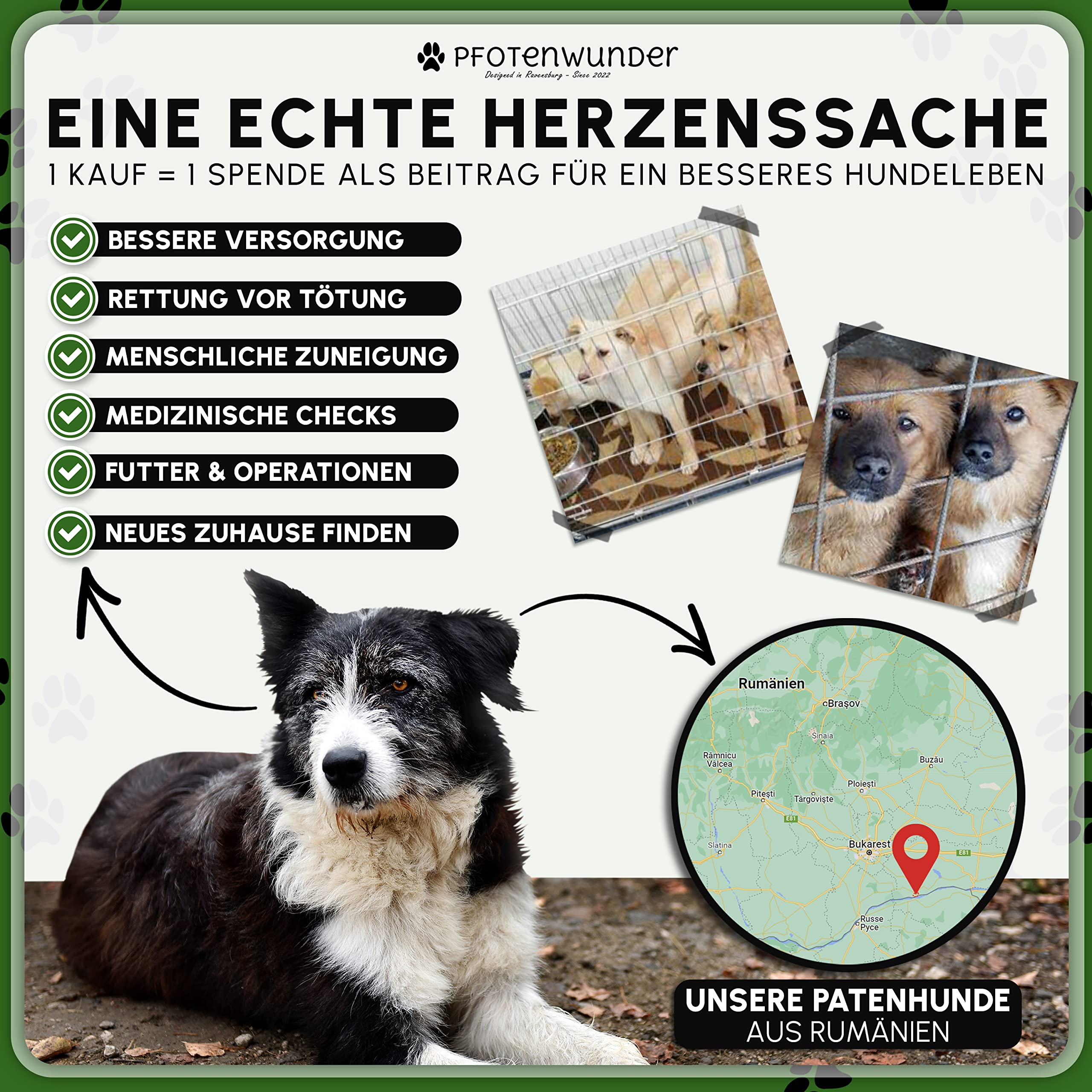 PFOTENWUNDER® Hundeklo + 2X-Easy-WASH-Rasen + 1x Büchlein, Hunde-Toilette für kleine & große Hunde, Festes Gras & Anti-Rutsch, Welpen-Klo drinnen zuhause Gras Hundetoiletten Balkon Indoor WC
