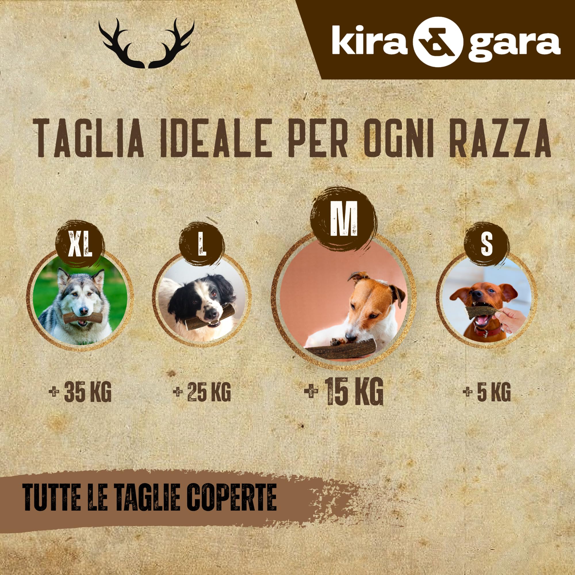 Corno di Cervo Naturale per Cani | Masticatore Dentale Duraturo | Origine Naturale, Senza Additivi | Kira&Gara® (M - 71-100g, Pack de 2)