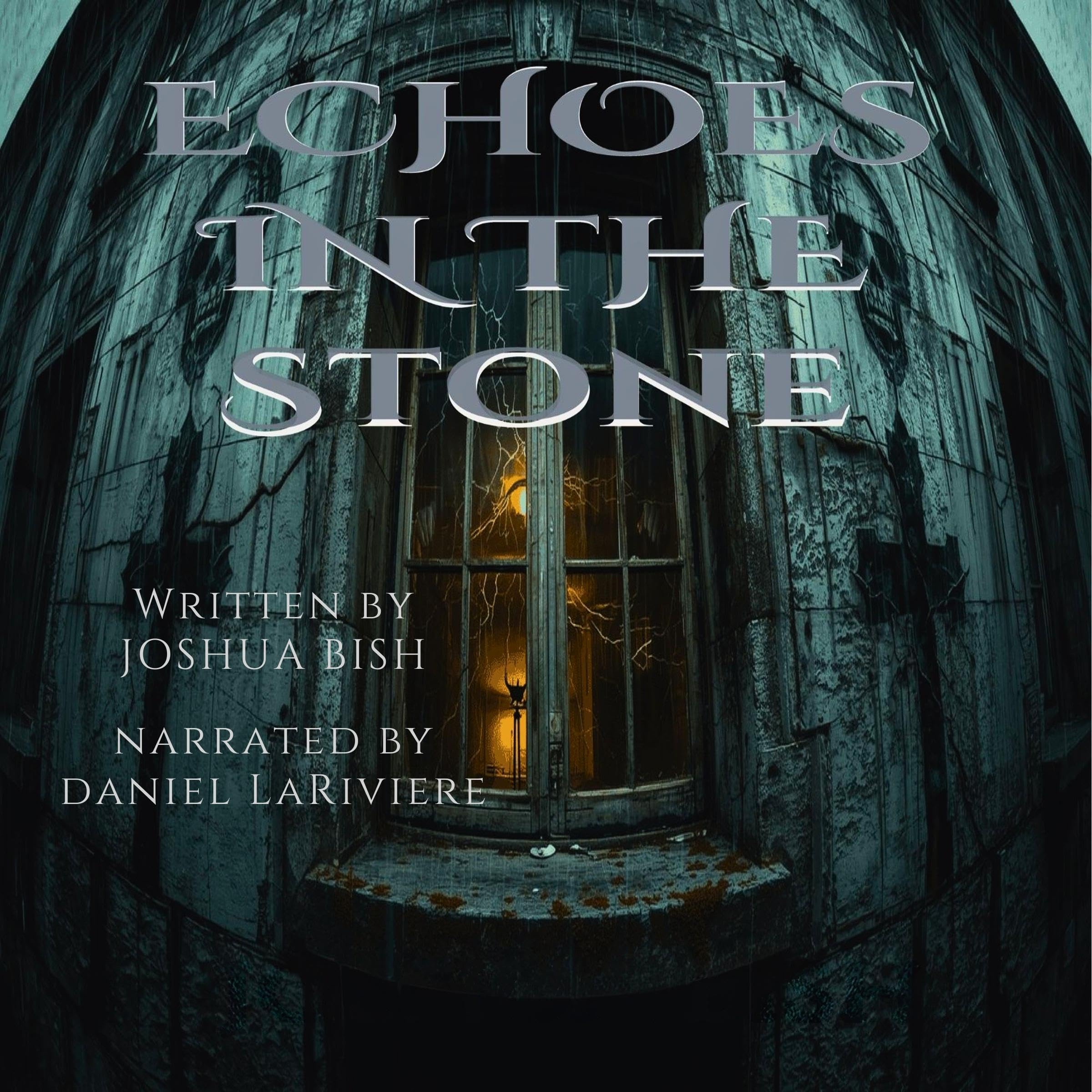Cover art for Echoes in the Stone