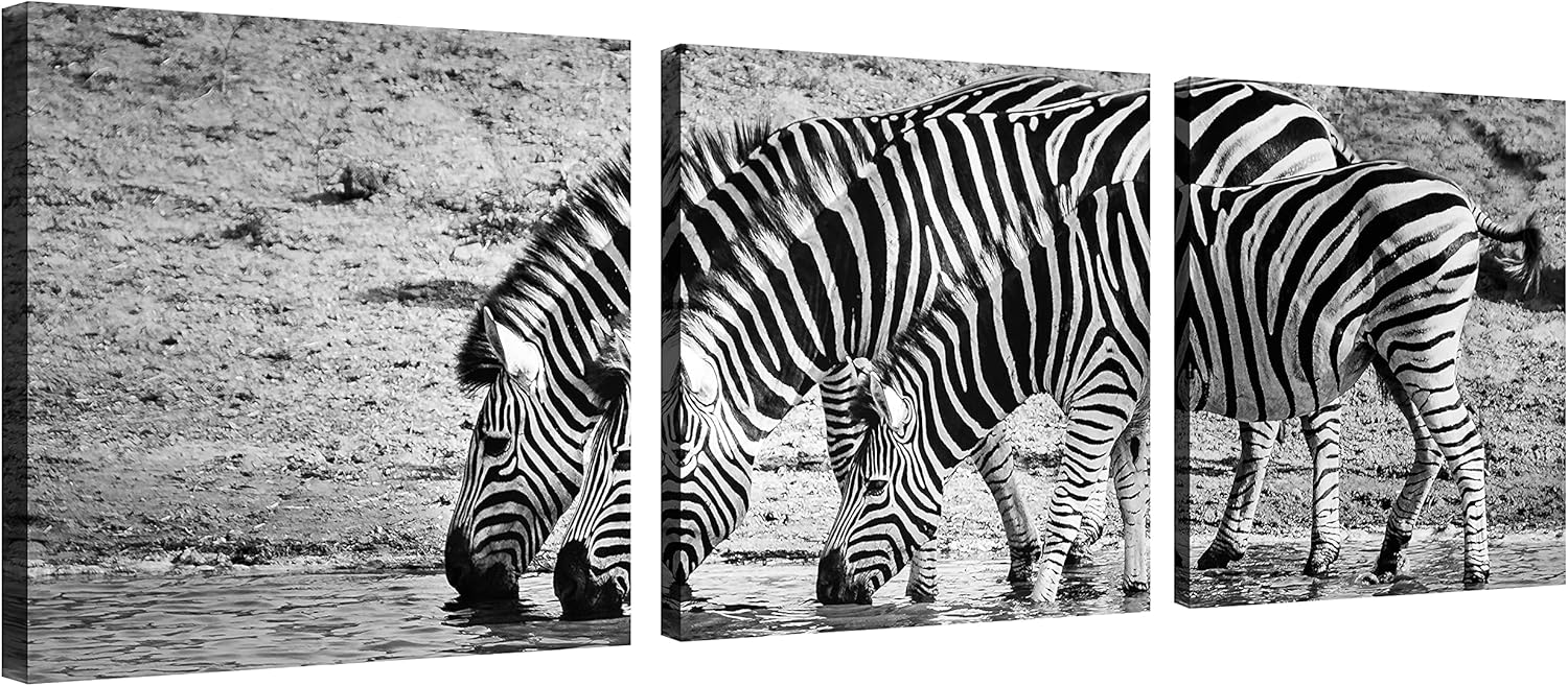 Zebra Wall Art Canvas Wildlife Wall Decor Black and White