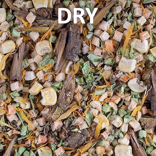 Miniatura 5 de Comida instantánea de dragón barbudo para reptiles  Accesorios nutritivos de dragón barbudo, comida de dragón barbudo  Hecho en Estados Unidos