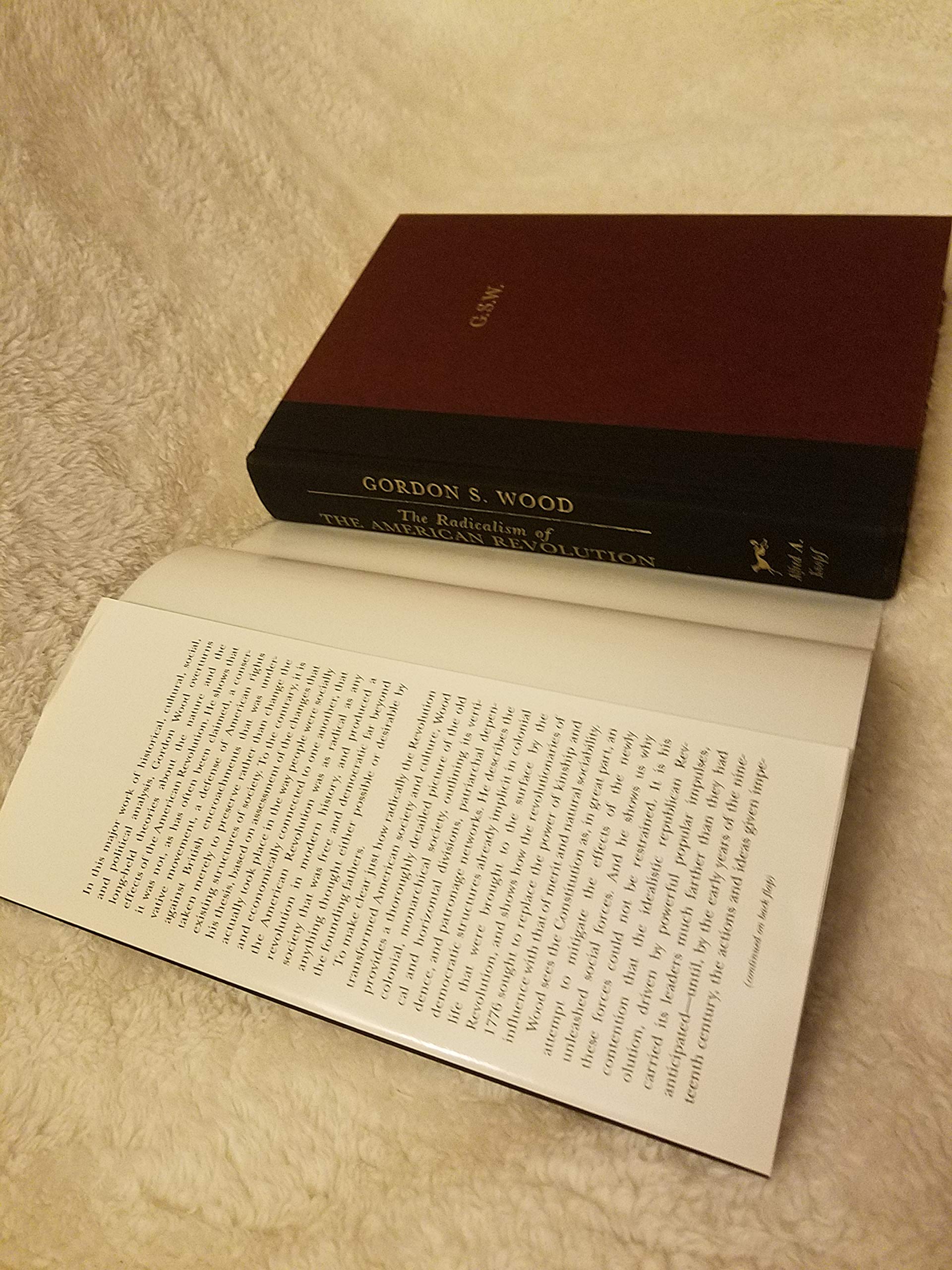 The Radicalism of the American Revolution - Image 3