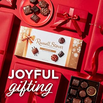 RUSSELL STOVER Christmas Assorted Milk & Dark Chocolate Candy Gift Box, 9.4 oz.