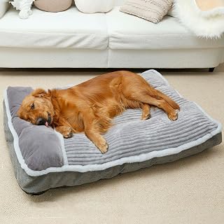 WINDRACING Large Dog Bed with Pillow - Super Soft Orthopedic Pet Bed for Crate, Kennel, Sofa, Medium Jumbo Dogs, Machine Washable