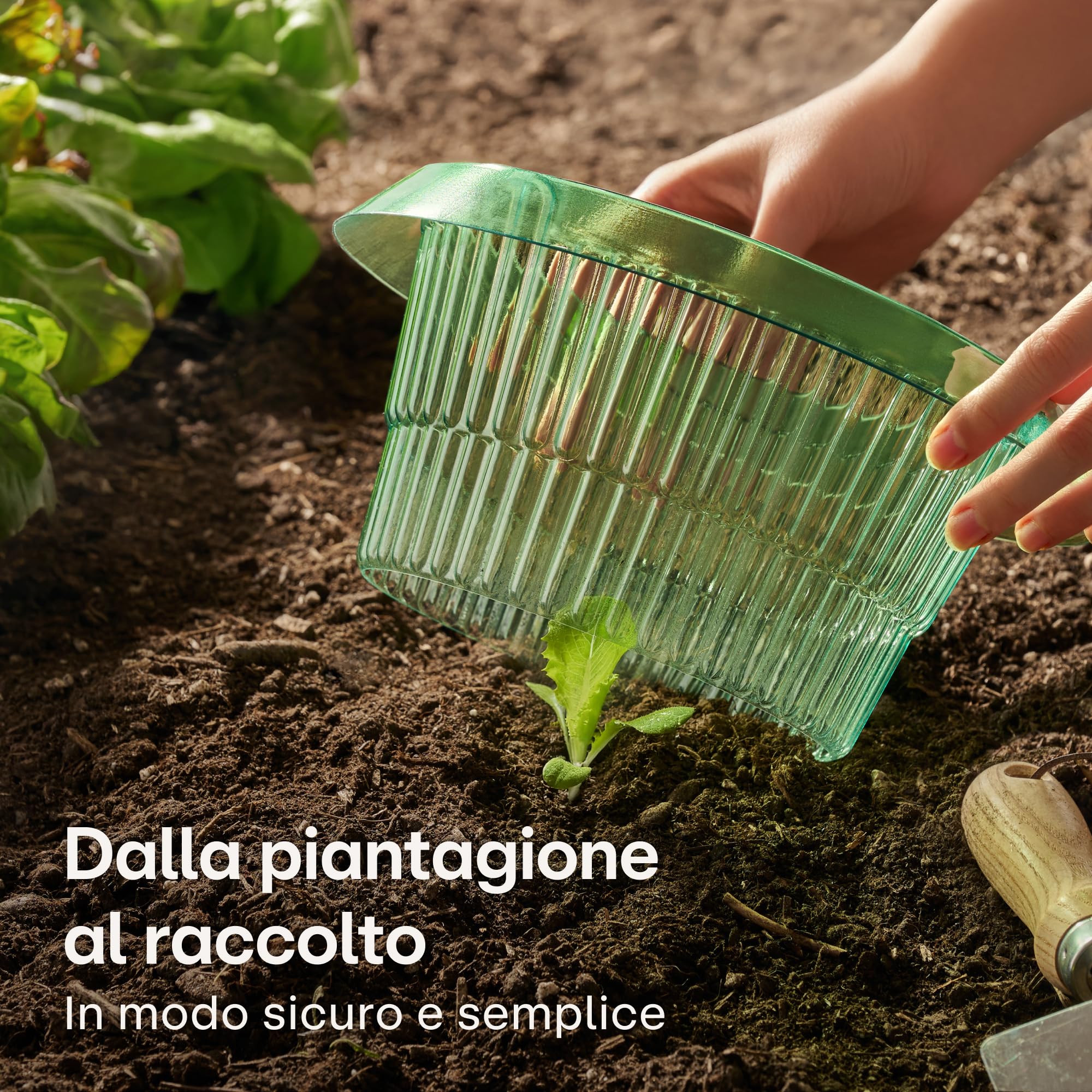 Praknu Anti Lumache Anelli - 10 Pezzi Protezione Contra Lumache Riutilizzabili - Durevole - Resistente alle Intemperie - per Lattughe, Ortaggi E Fiori - Efficace Lumaca Bariere