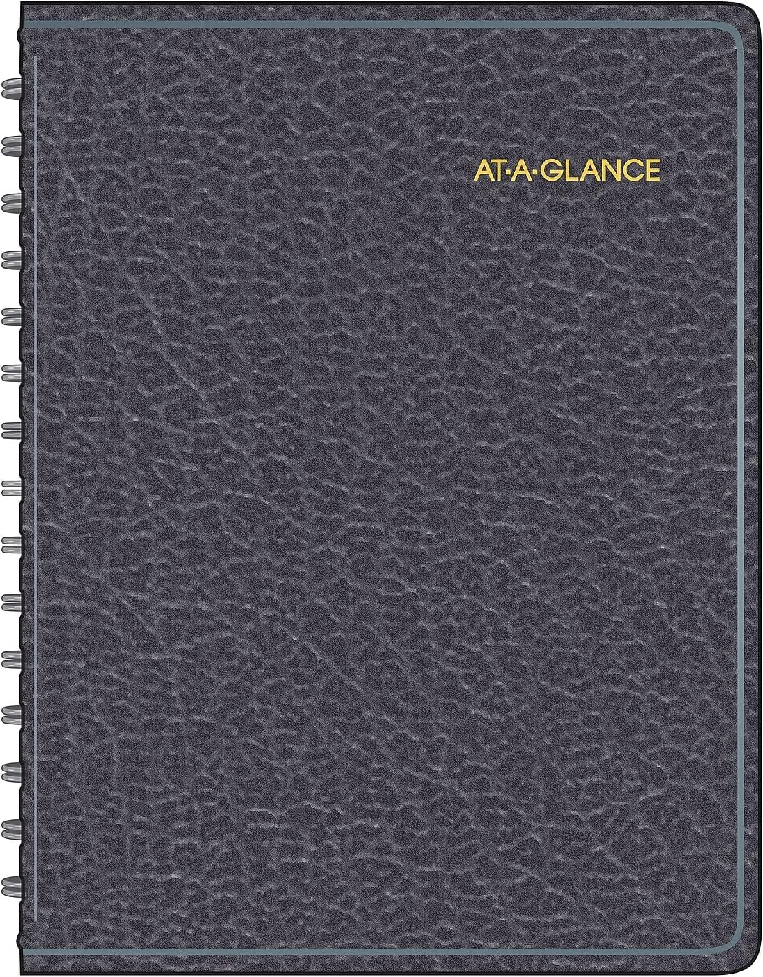 AT-A-GLANCE 8031005 Four-Person Group Undated Daily Appointment Book, 8 1/2 x 10 7/8, Black