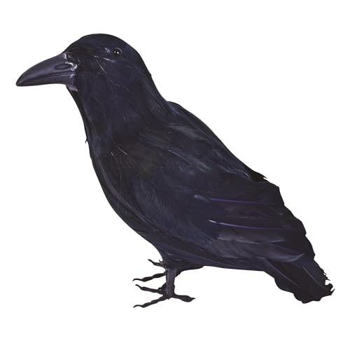 Bristol Novelty - Corbeau (Taille Unique) (Noir)