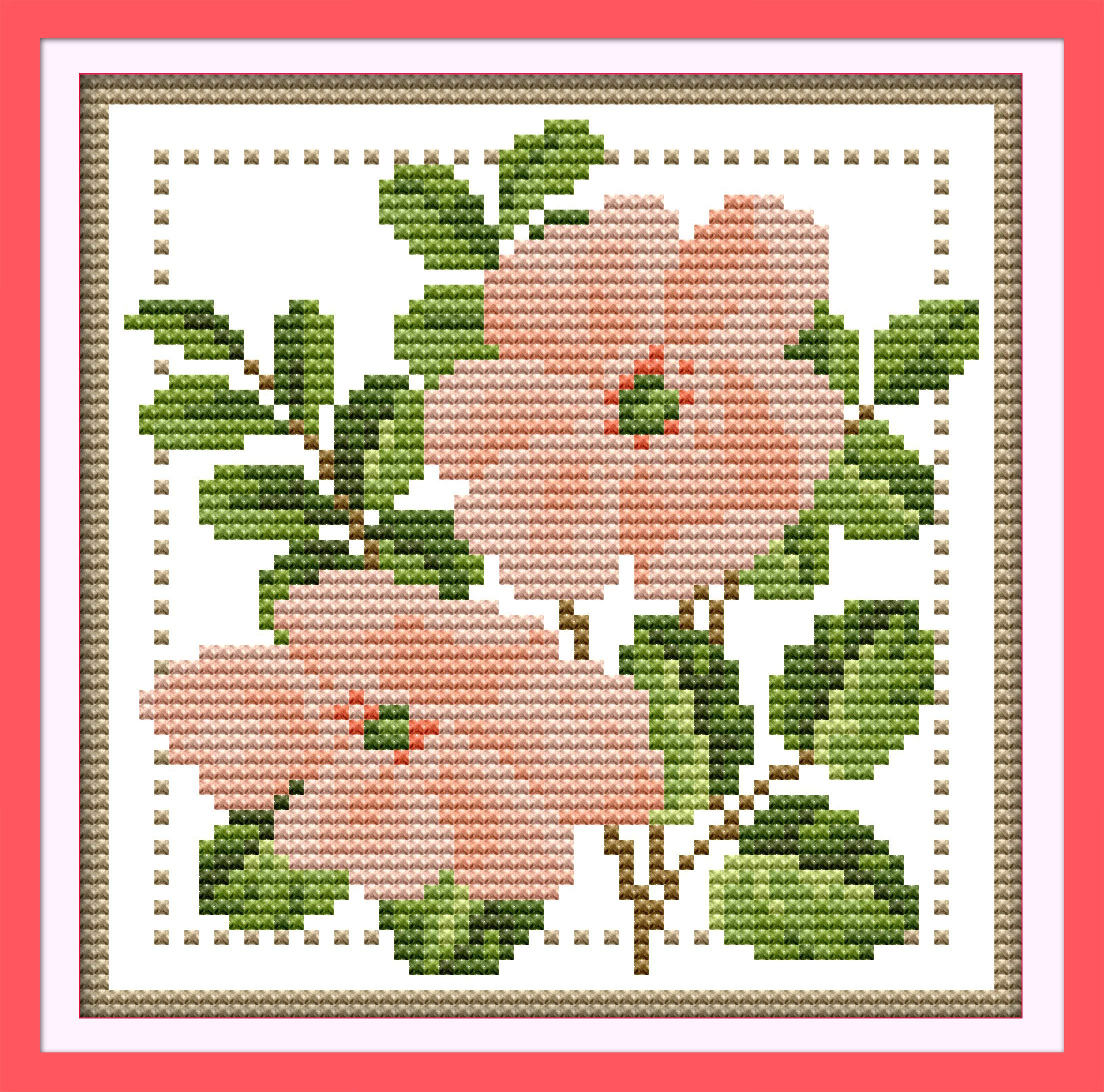 Own4b June Cross Stitch Kits Stamped, Twelve Months Flower- Printed Pattern 11Ct 8.3X8.3 Inch Diy Embroidery Kit