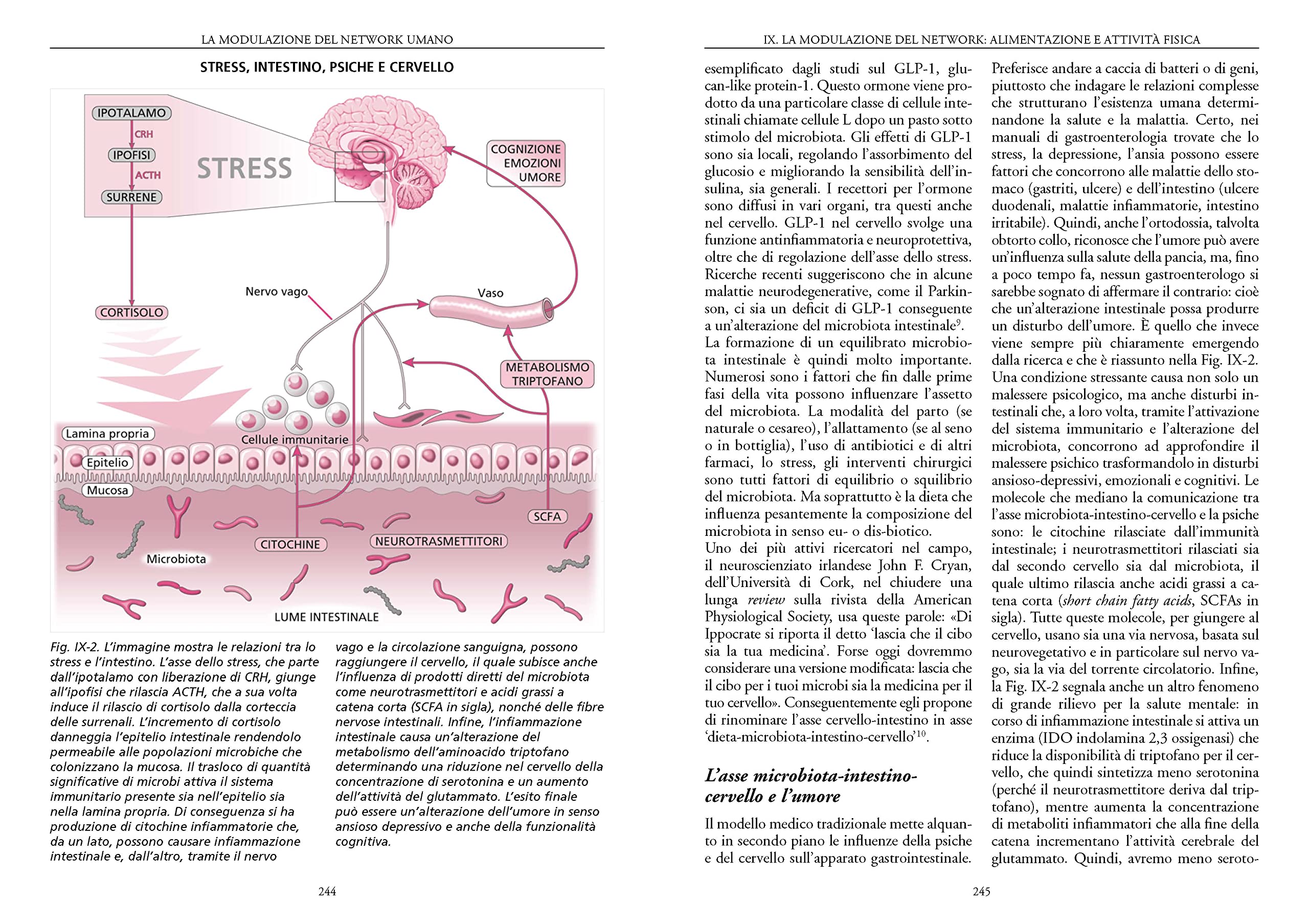 Fondamenti di psiconeuroendocrino immunologia. Introduzione alla scienza che studia le relazioni mente-corpo