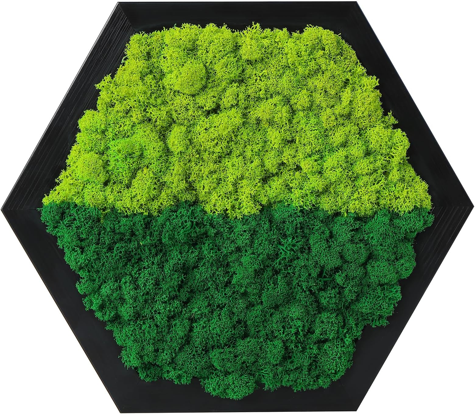 LVZHIHUAN Moss Wall Art Preserved Moss Honeycomb Hexagon 8" Home Office Decor Living Wall Hanging Decor