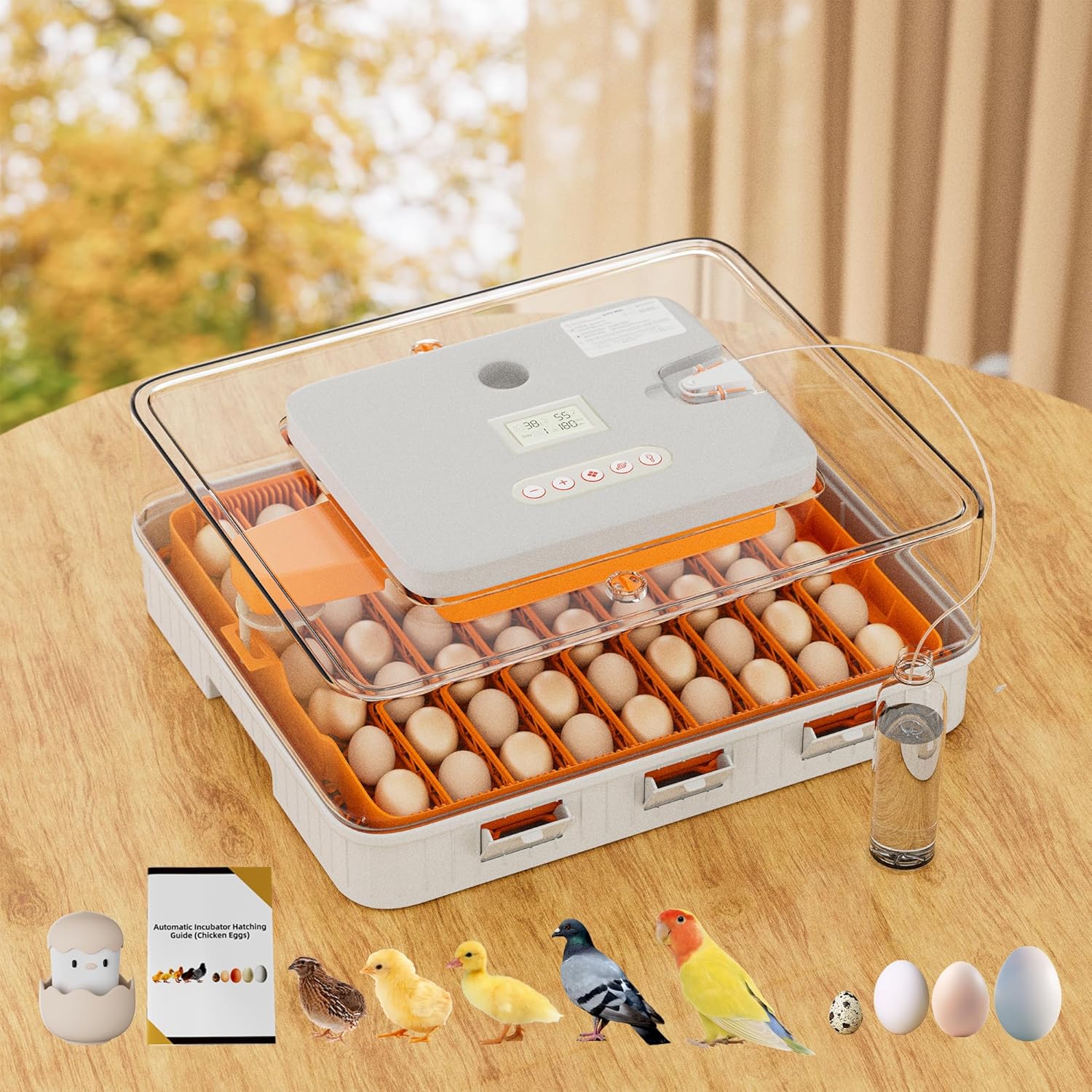 56-egg incubator with automatic turning & smart temp/humidity control