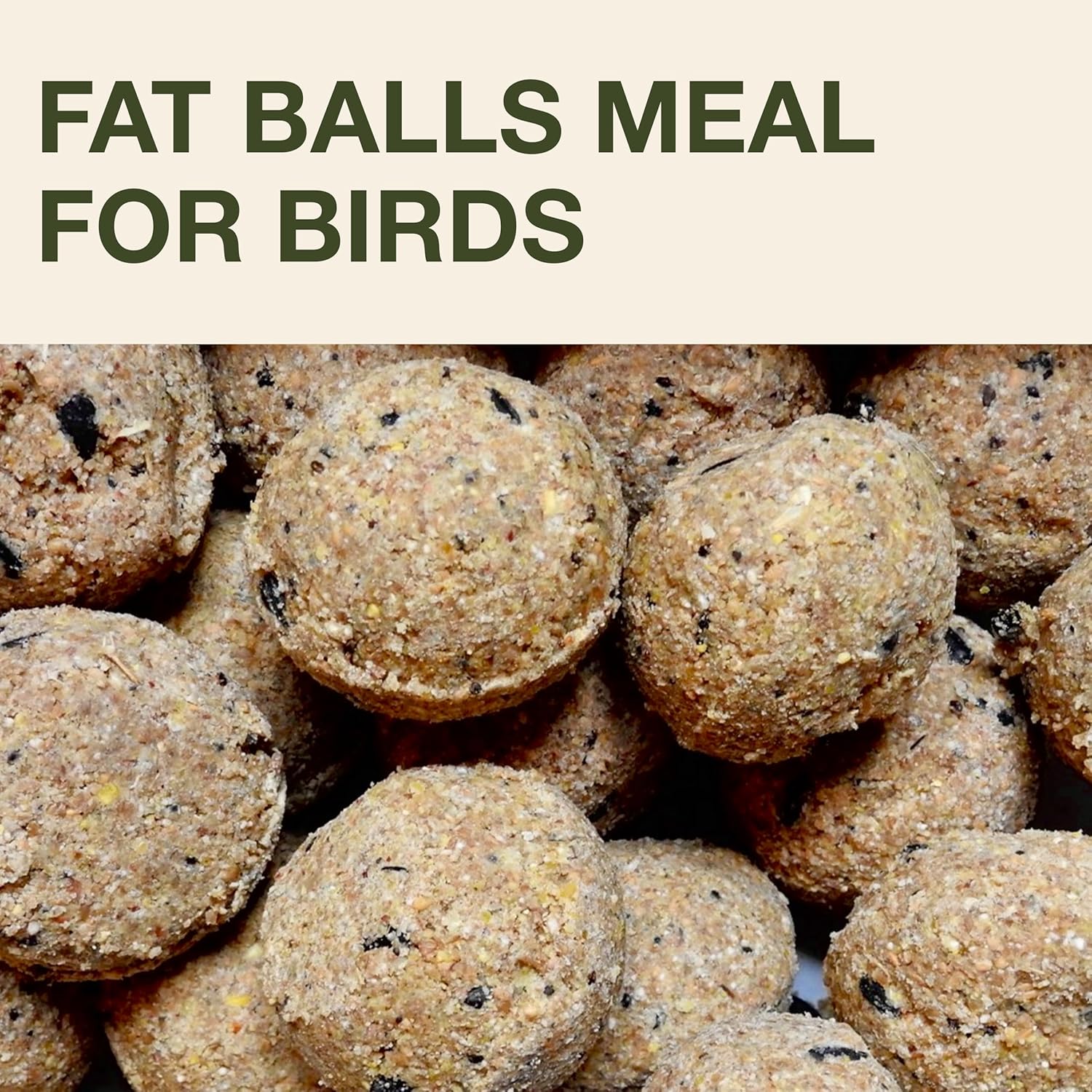 SWISSINNO Bird Feeders - No Mess Fat Ball/Suet Feeder for Outdoors Hanging - Smart Birds Lucerne Spill Proof Wild Cardinal Bird Feeder with Integrated Seed Catcher Tray - Light Grey