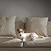Product Photo 8
