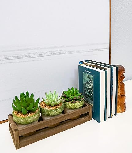 Miniatura 7 de Admired By Nature 3 piezas suculentas terracota estilo rústico con bandeja de madera para interiores primavera verano decoración de plantas