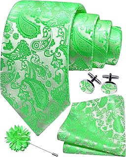 GUSLESON 3.15"（8cm） Mens Paisley Tie and Lapel Pin Necktie Hankerchief Cufflinks Set for Men