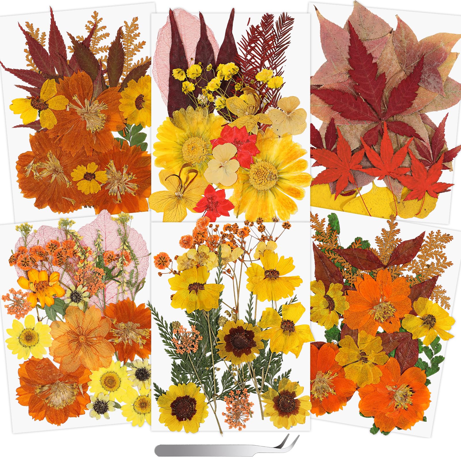 Cruzix 100+ PCS Dried Pressed Flowers