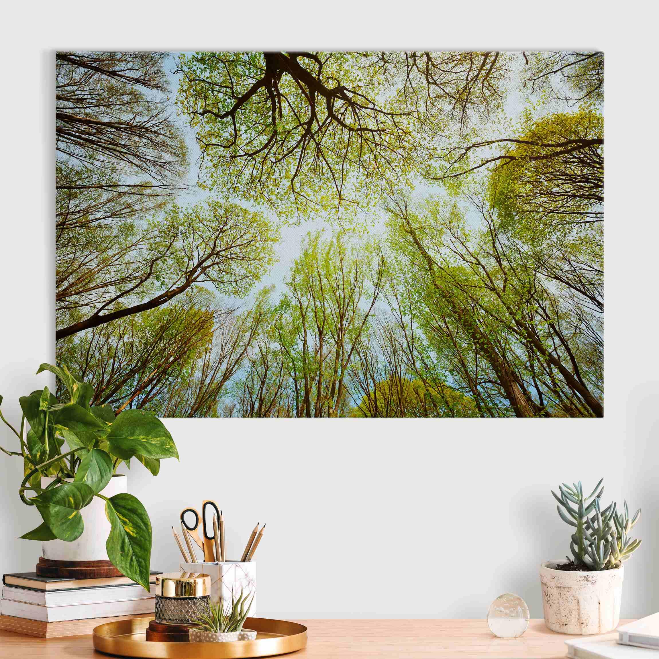 micasia Akustikbild Wald Bäume Natur Schallschutzbild 4cm Keilrahmen & Schallabsorber - Baum Modern grün Wohnzimmer Schlafzimmer Bild für bessere Raumakustik 1701 (150x100cm)