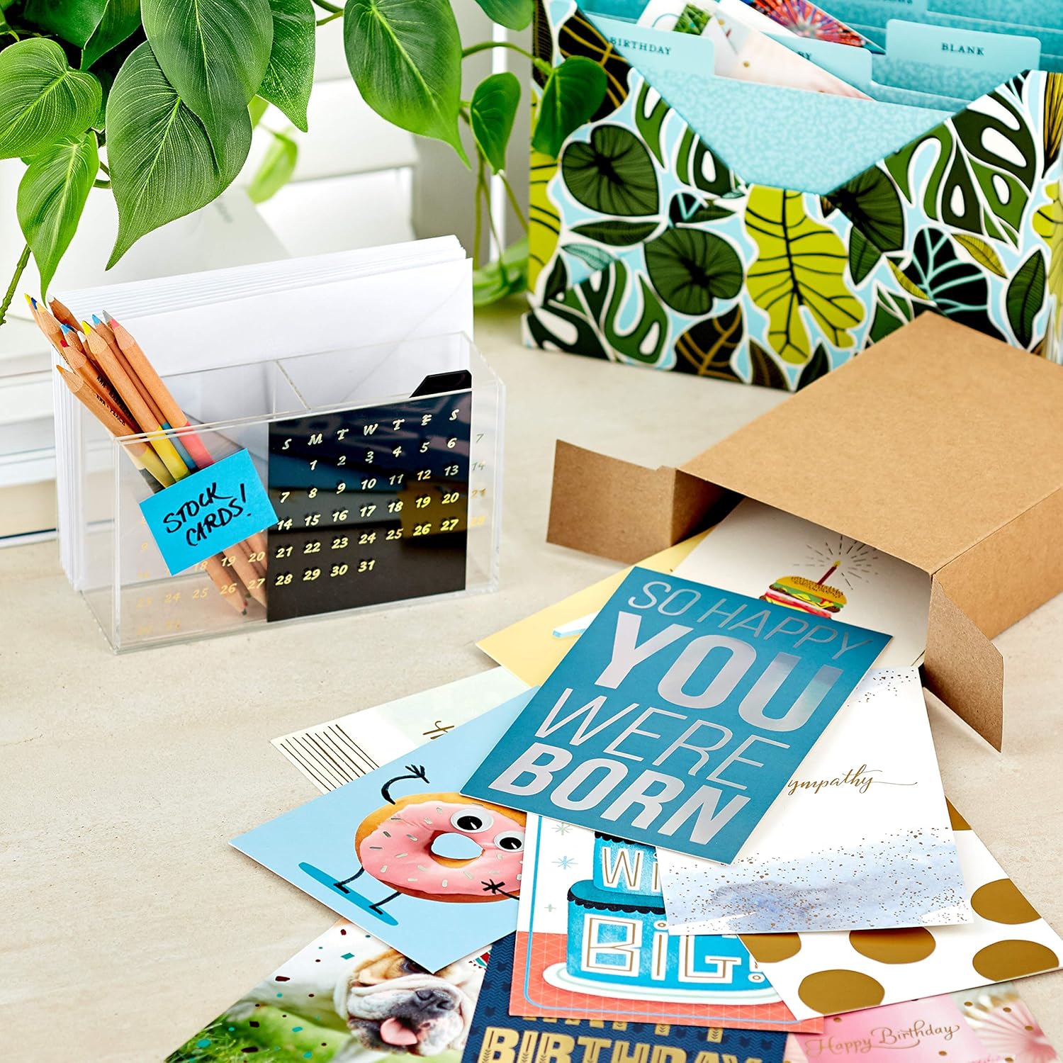 Hallmark All Occasion Cards Assortment—48 Cards with Envelopes (Birthday, Thank You, Congrats, Sympathy, Baby Shower, Blank) : Office Products