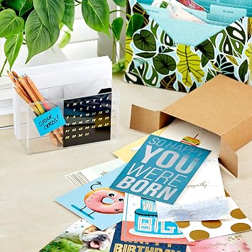 Hallmark Tüm Etkinlik Kartları Çeşitliliği—48 Zarflı Kart (Doğum Günü, Teşekkür, Tebrikler, Sempati, Bebek Duşu, Boş)
