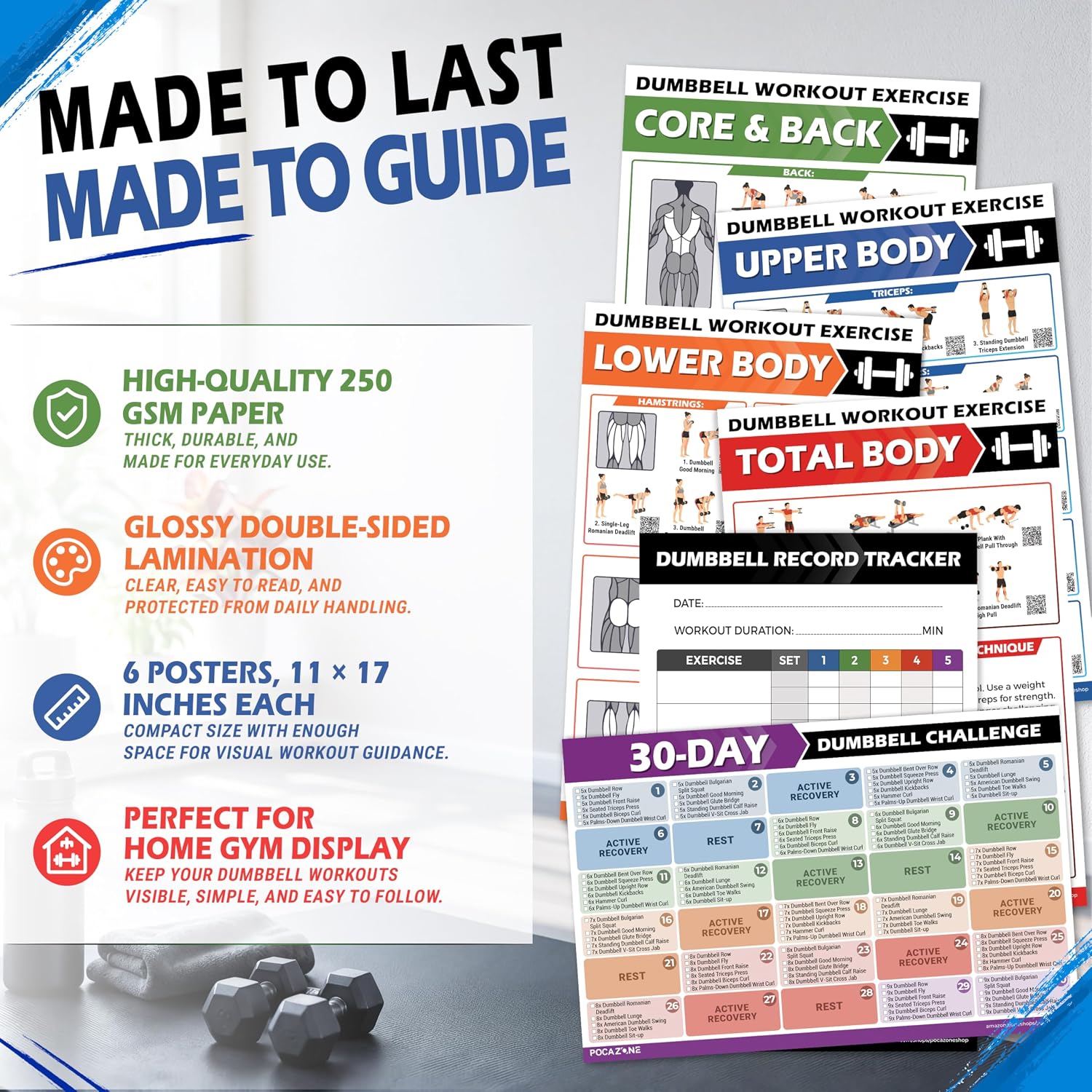 Dumbbell Workout Posters, 6 Pack Exercise Charts & Video Guide | Laminated 11x17, Build a Clear Home Gym Routine, Weight Lifting with QR Code Video, Free Weight Body Building Guide