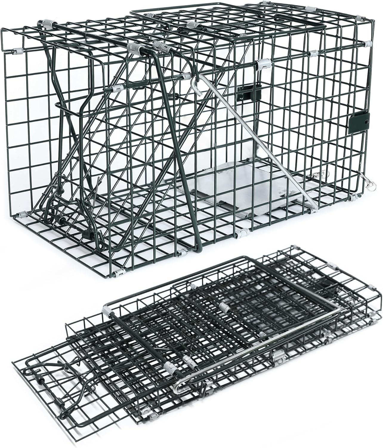 HOMESTEAD Collapsible Live Trap 14in – Small Animal Trap Cage for Red Squirrels, Adult Rats, and Small Weasels with 1″ Mesh Wire