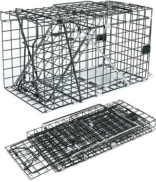 HOMESTEAD Collapsible Live Trap 14in Small Animal Trap Cage for Red Squirrels, Adult Rats, and Small Weasels with 1 Mesh Wire