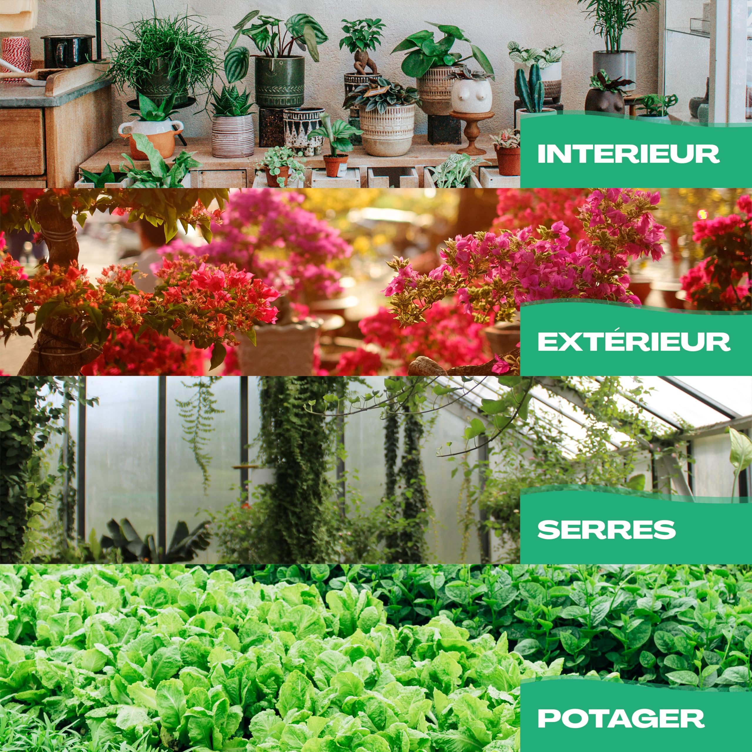Netrox Cône d'irrigation en argile – 8x 360ml – idéal en vacances, jusqu'à 14 jours – arrosage automatique pour plantes d'intérieur, jardin et balcon – Irrigation, système d'irrigation, distributeur