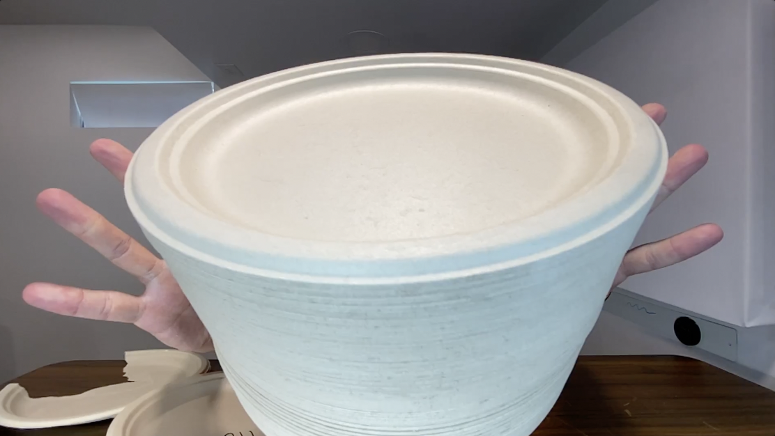 BEST Paper Plates? | 10 inch Heavy Duty Disposable Plate