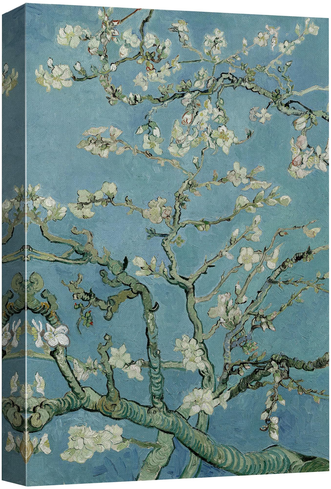 wall26 Canvas Print Wall Art Almond Blossoms by Vincent Van Gogh Nature Wilderness Illustrations Modern Art Decorative Floral Botanical Minimal Calm/