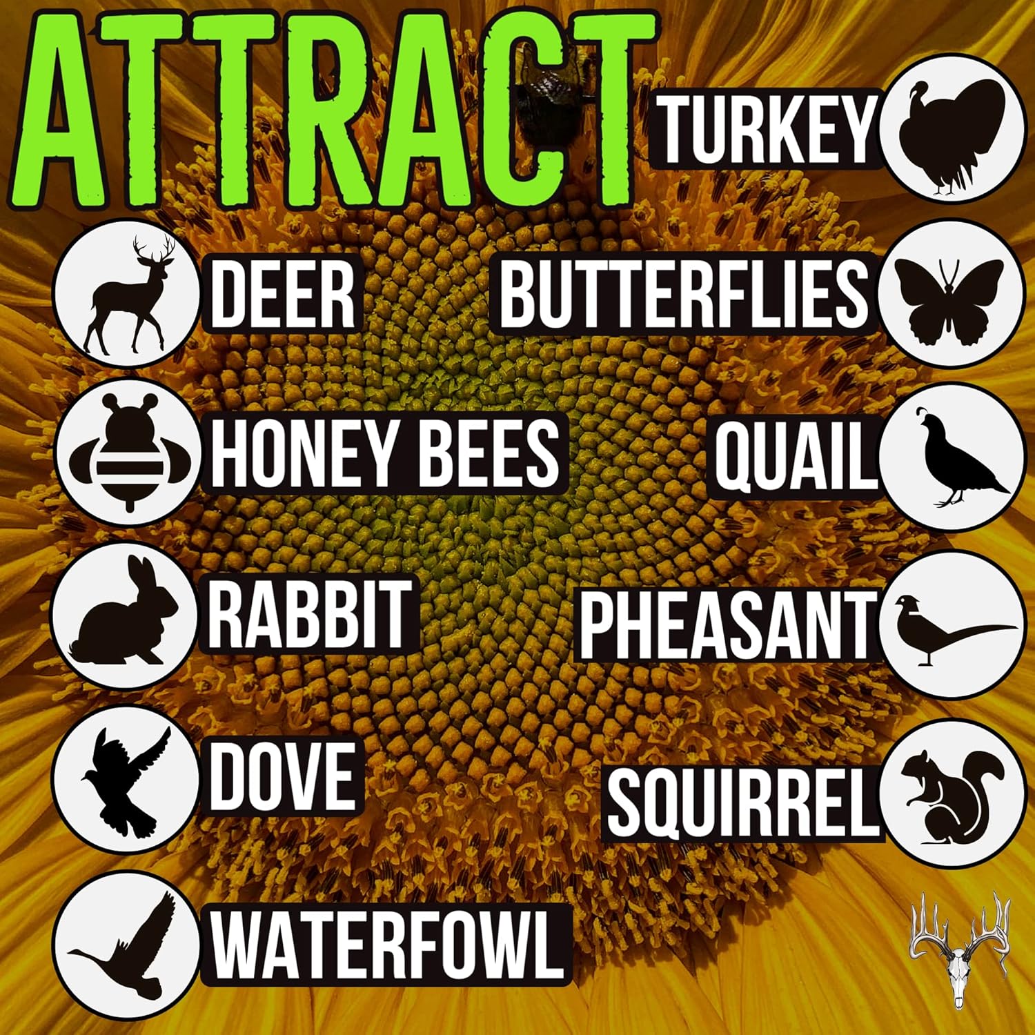 Crooked Bend Basic Buck Blend, 50LB Bulk, Whitetail Deer Food Plot Seed, Soybean, Corn, Sunflower & Clover Plants, Attractant for Turkey, Dove & Honey Bee, Grow Hunting Food Plots & Wildlife Habitat : Sports & Outdoors