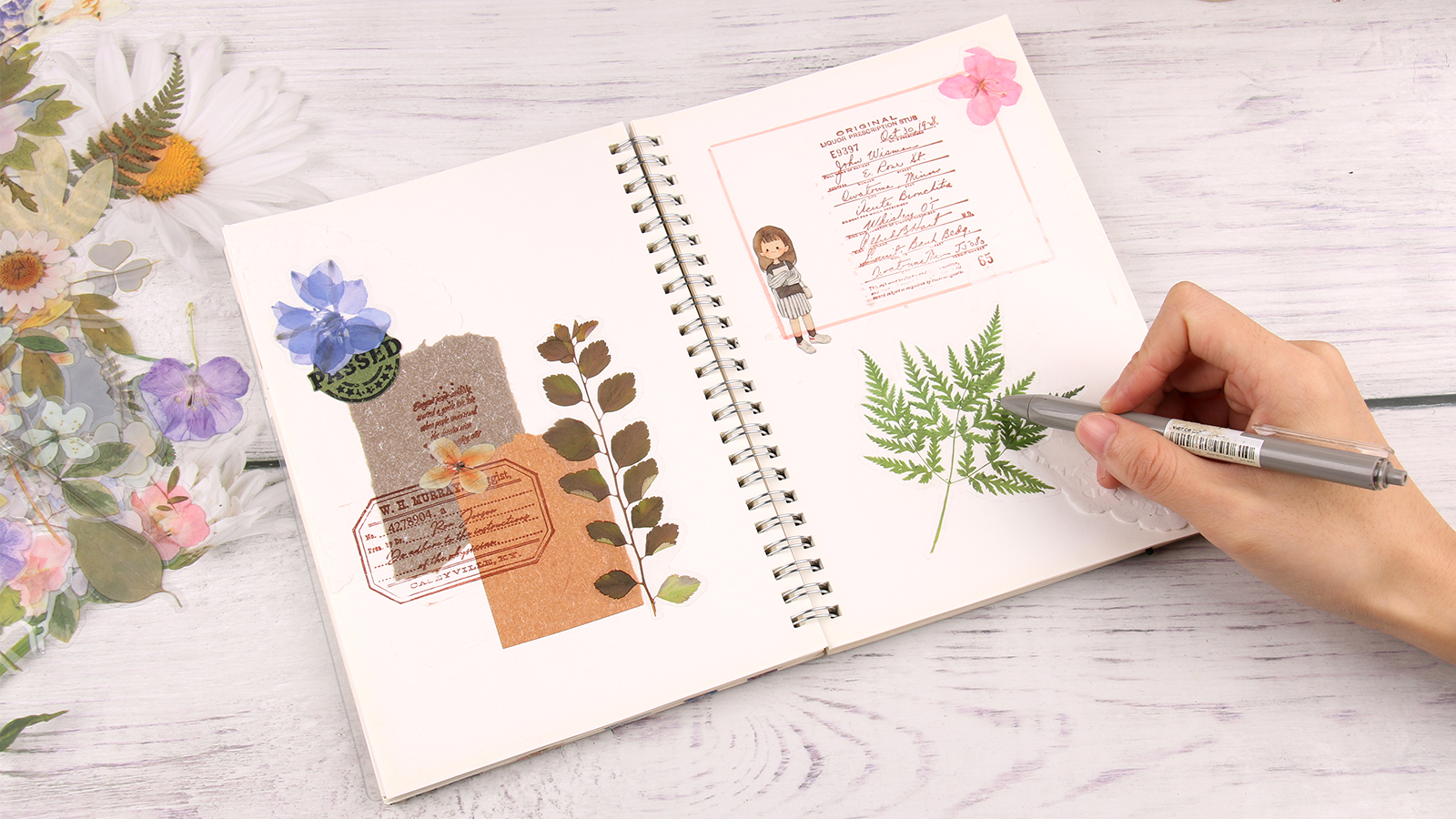 360 Autocollants Fleurs Rétro - 6 Thèmes Botaniques - Papier Washi Translucide - Pour Journal, Cahier, Déco