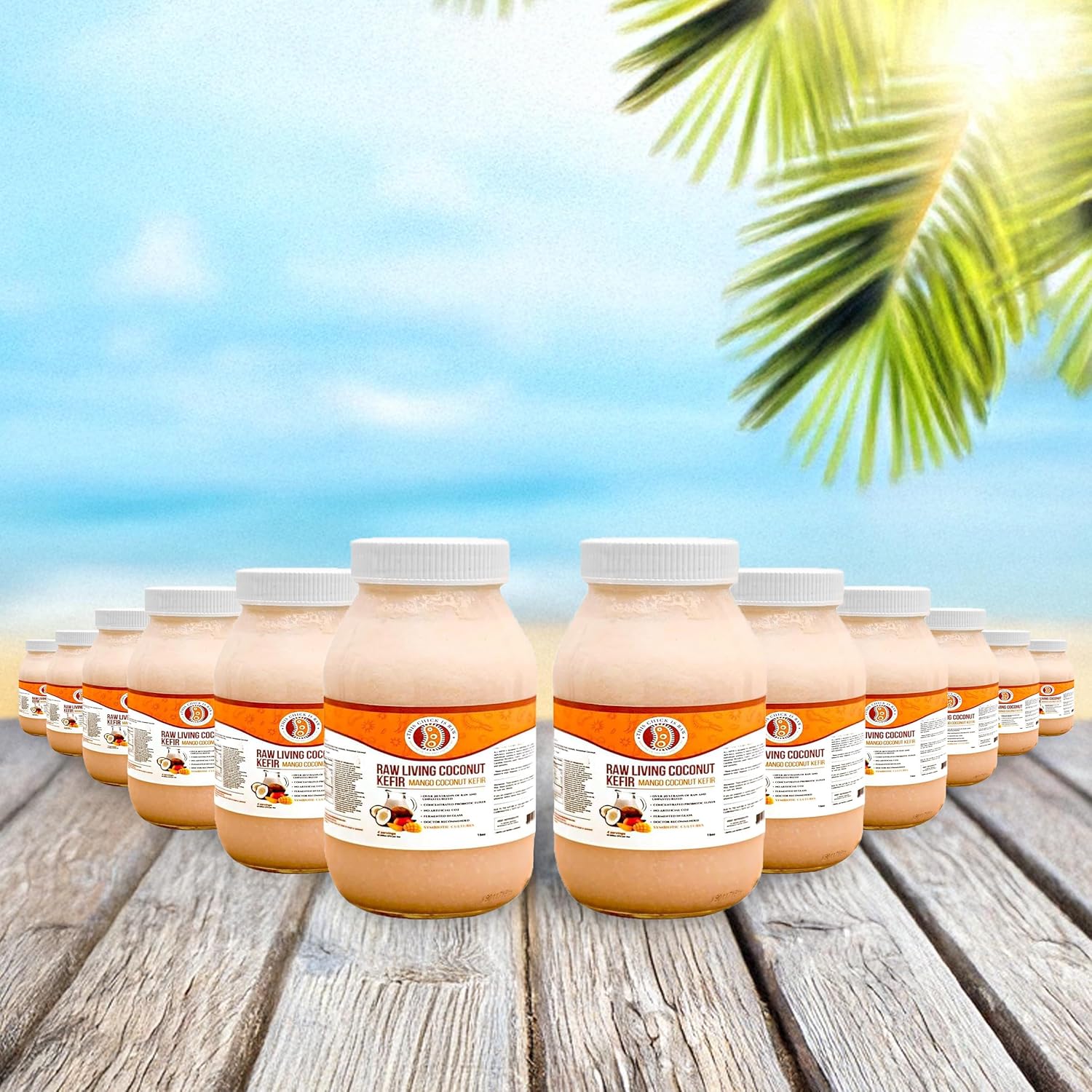 Mango Coconut Kefir – Organic Raw Probiotic Drink for Gut Health & Digestion | Living Cultures, Tropical Flavor | by This Chick Is Raw – Full Case