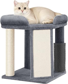 Cat Tree for Indoor Cats, 48 cm Small Cat Tower, Dark Grey