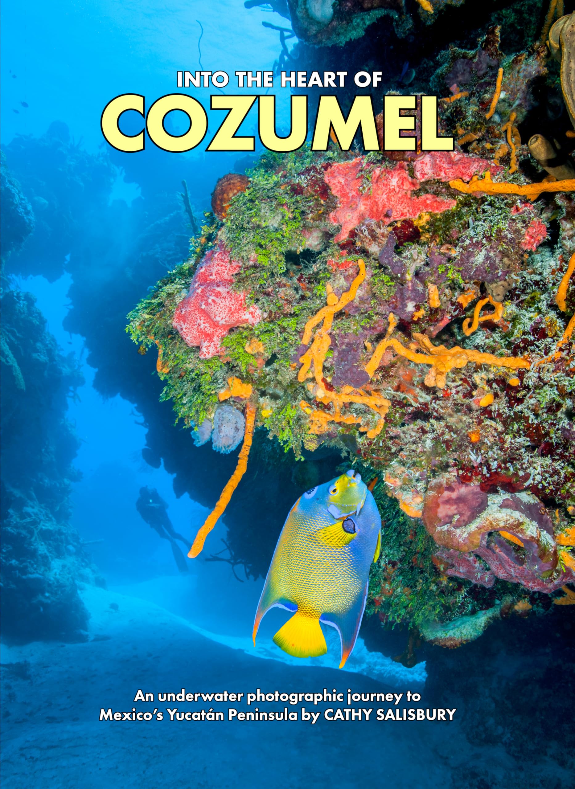 Cozumel underwater photographic journey Mexique album de luxe