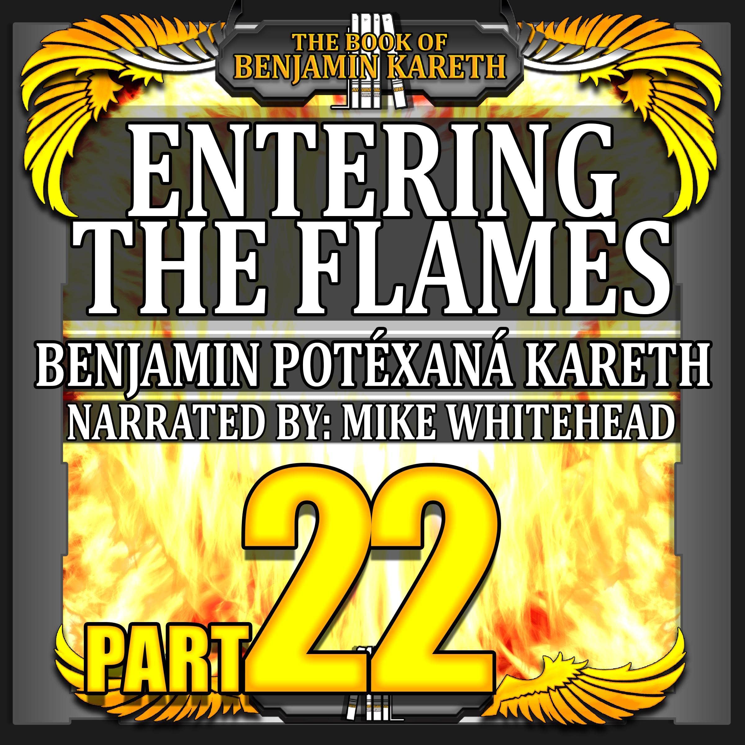 Cover art for Entering the Flames
