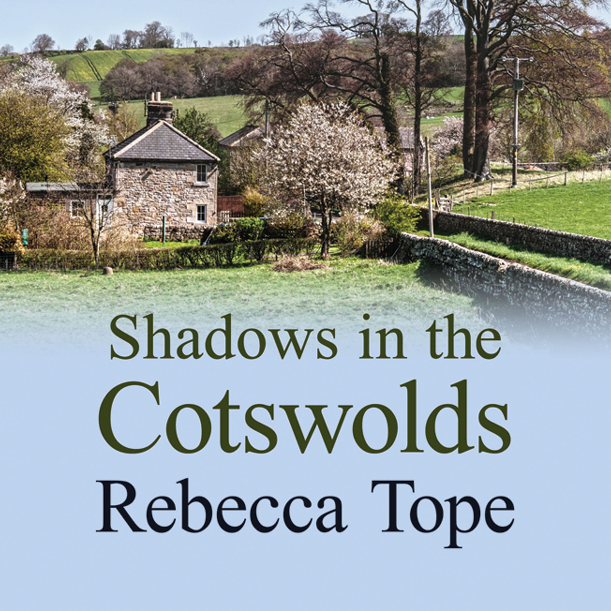 Cover art for Shadows in the Cotswolds