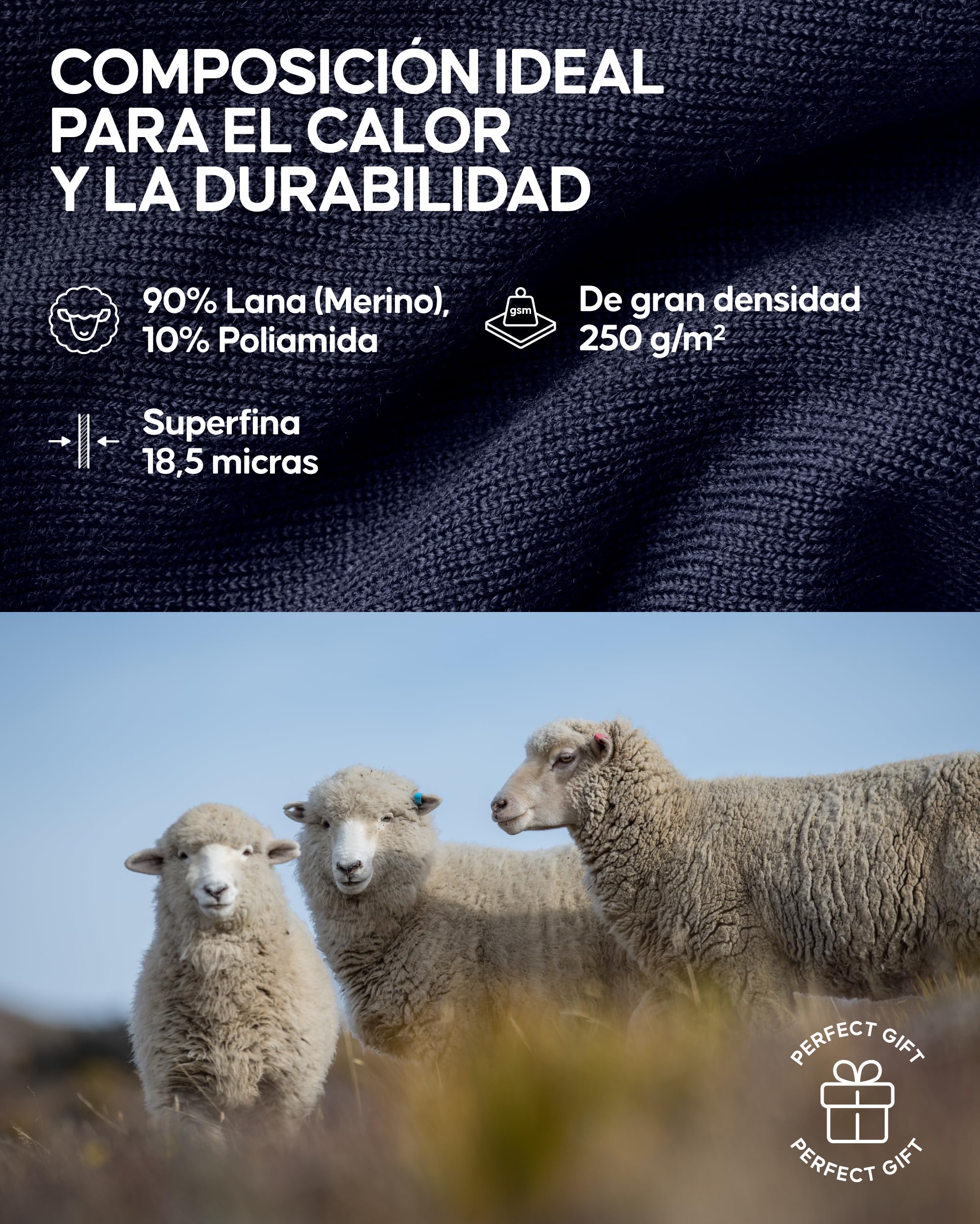 DANISH ENDURANCE Camiseta Térmica de Lana Merino para el Frío Extremo para Hombre, Alto Grosor y Gramaje, Ropa Interior Térmica de Invierno