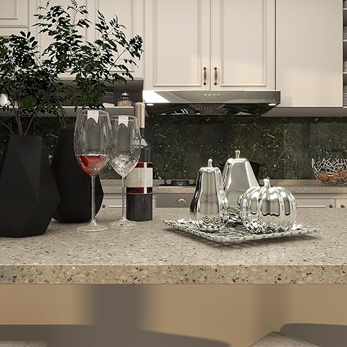 Miniatura 7 de Deco 79 Escultura decorativa de frutas de cerámica con plato juego de 4 12 pulgadas de ancho 1 pulgada de alto plata