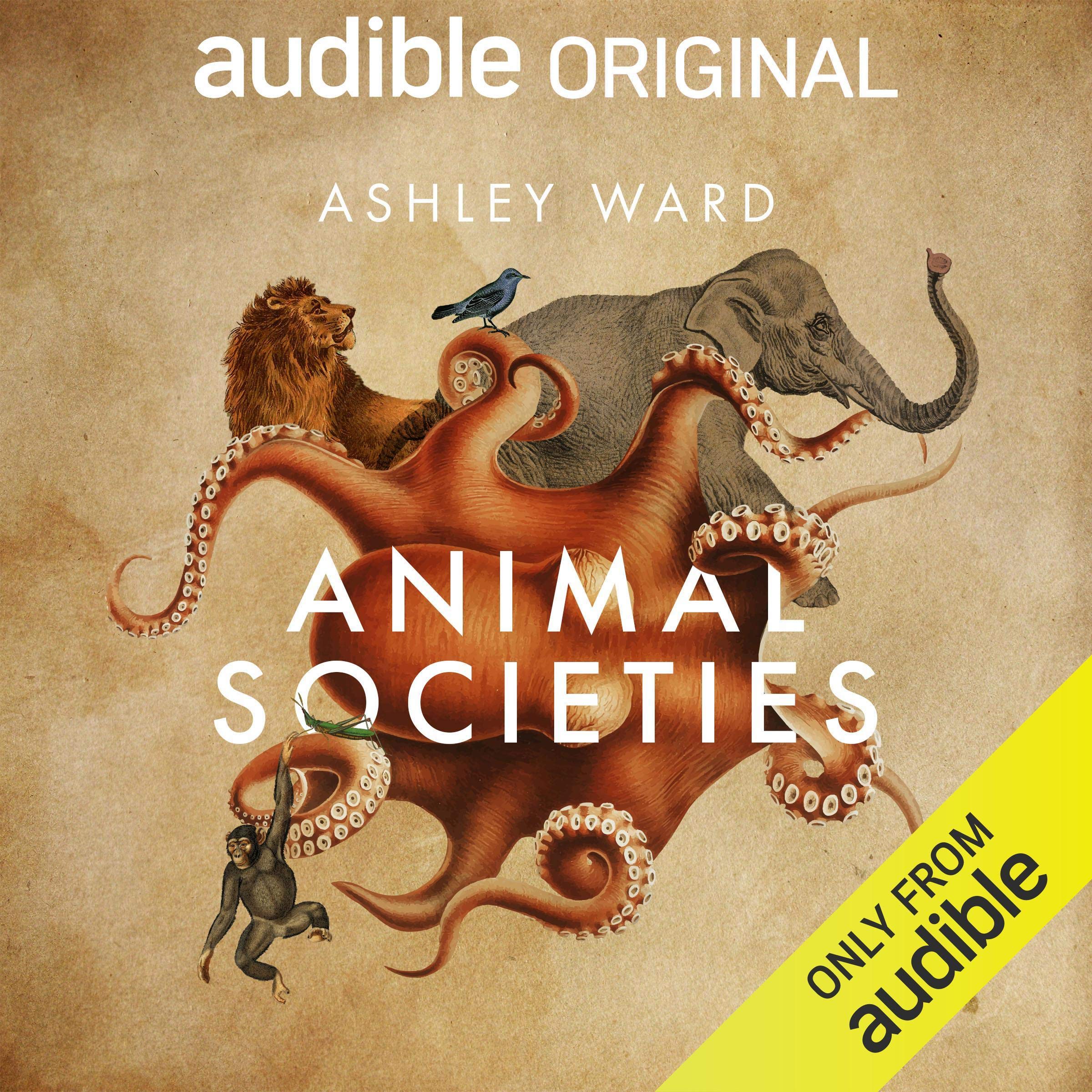 Cover art for Animal Societies