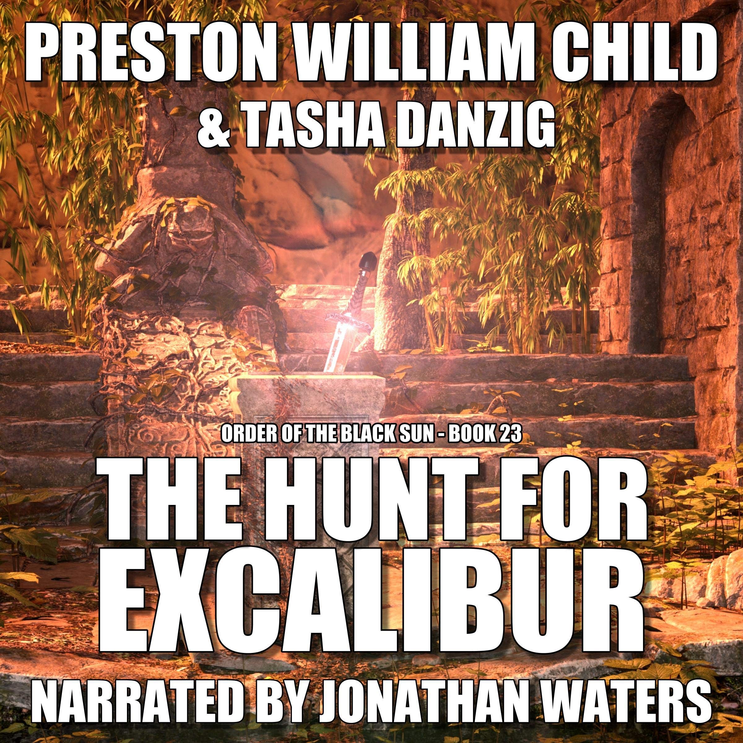 Cover art for The Hunt for Excalibur