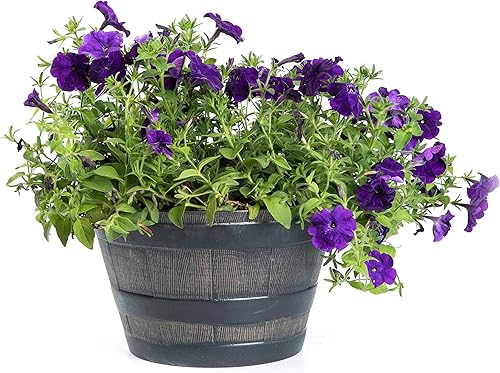 Miniatura 5 de Gardenised Macetas redondas de medio barril de 4 piezas estilo rústico de madera sintética para uso en interiores y exteriores, perfectas para