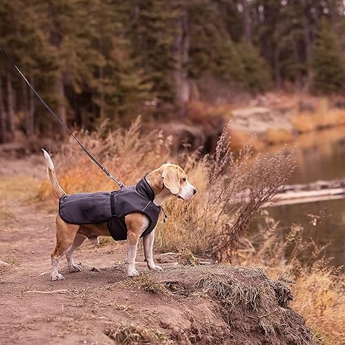 Miniatura 4 de LUCOLOVE Abrigo de invierno para perro, chaleco impermeable con aislamiento térmico, chaqueta de nieve, ajuste rápido, cálido y acogedor para clima