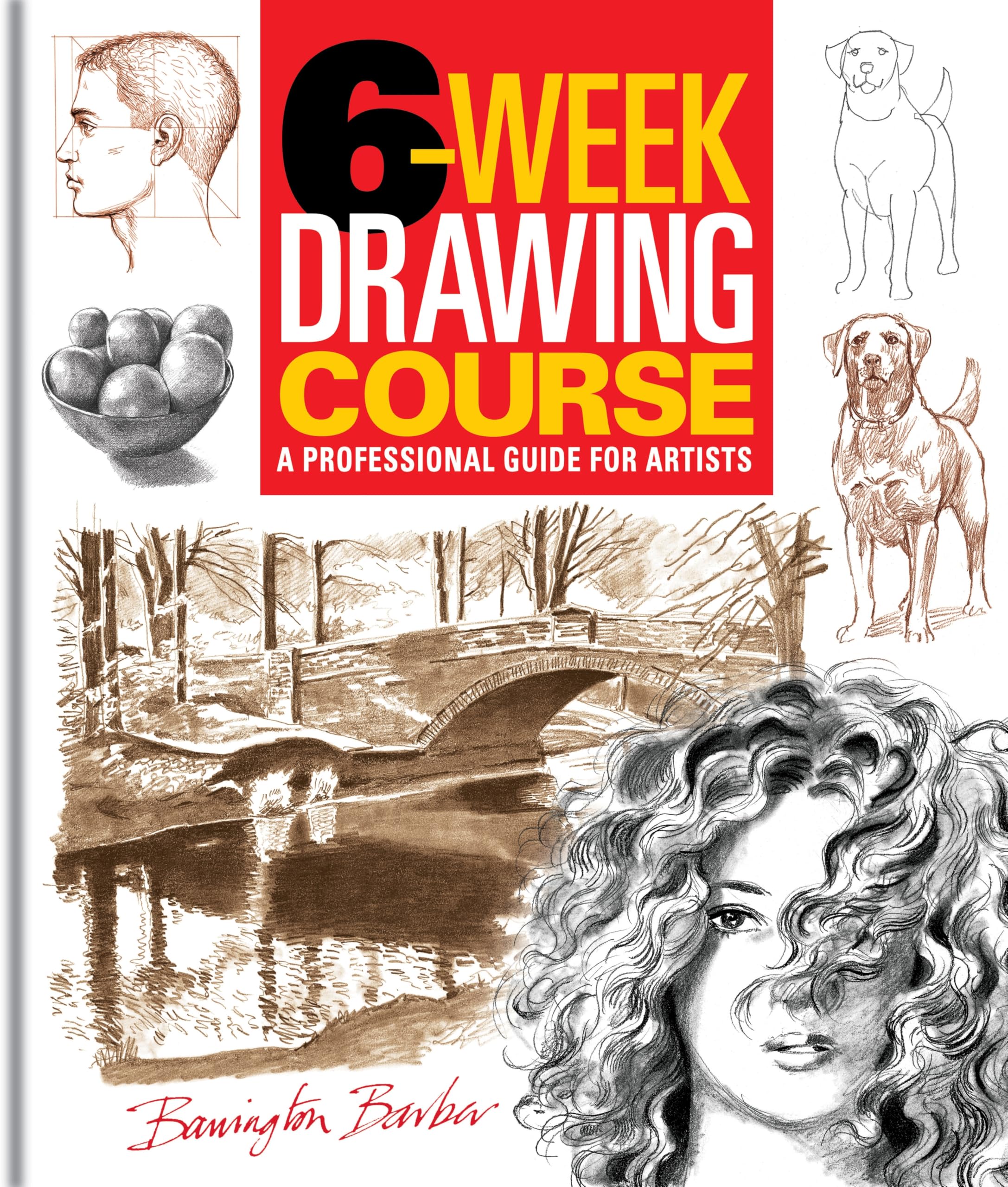 6-Week Drawing Course: A Professional Guide for Artists