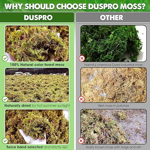 Miniatura 9 de Duspro Reptile Bedding Forest Moss Mix Pine Bark, Sustrato para tanque de reptiles, Ropa de cama de piso para reptiles, Ropa de cama de tortuga
