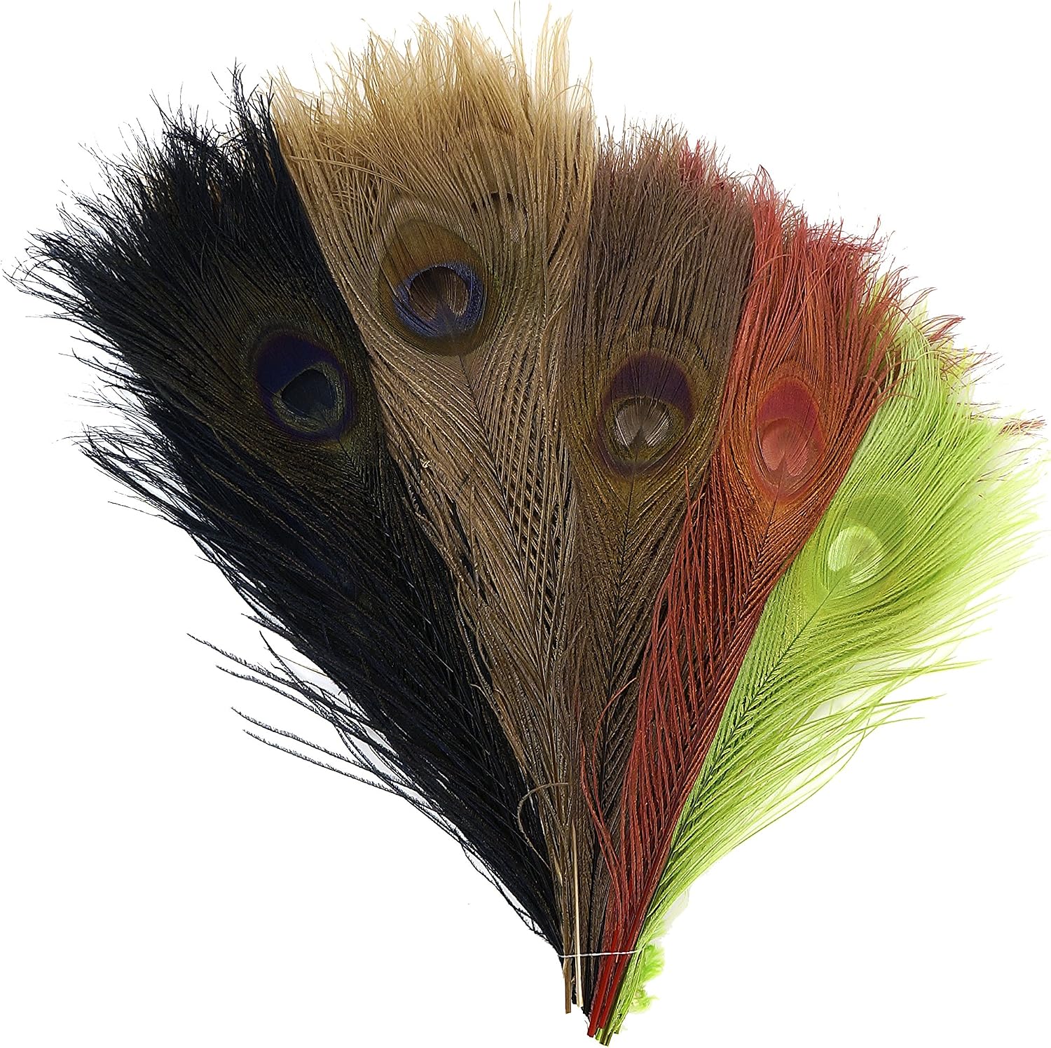 Vintage Mix Peacock Eye Feathers - 8-15" 100pc Wedding DIY Craft Home Decor