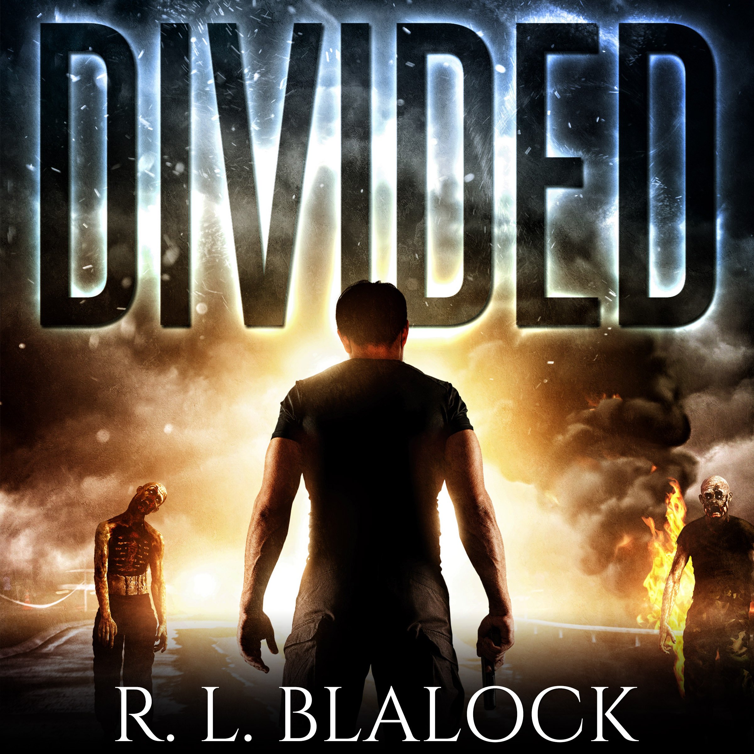 Cover art for Divided: Death & Decay, Book 2