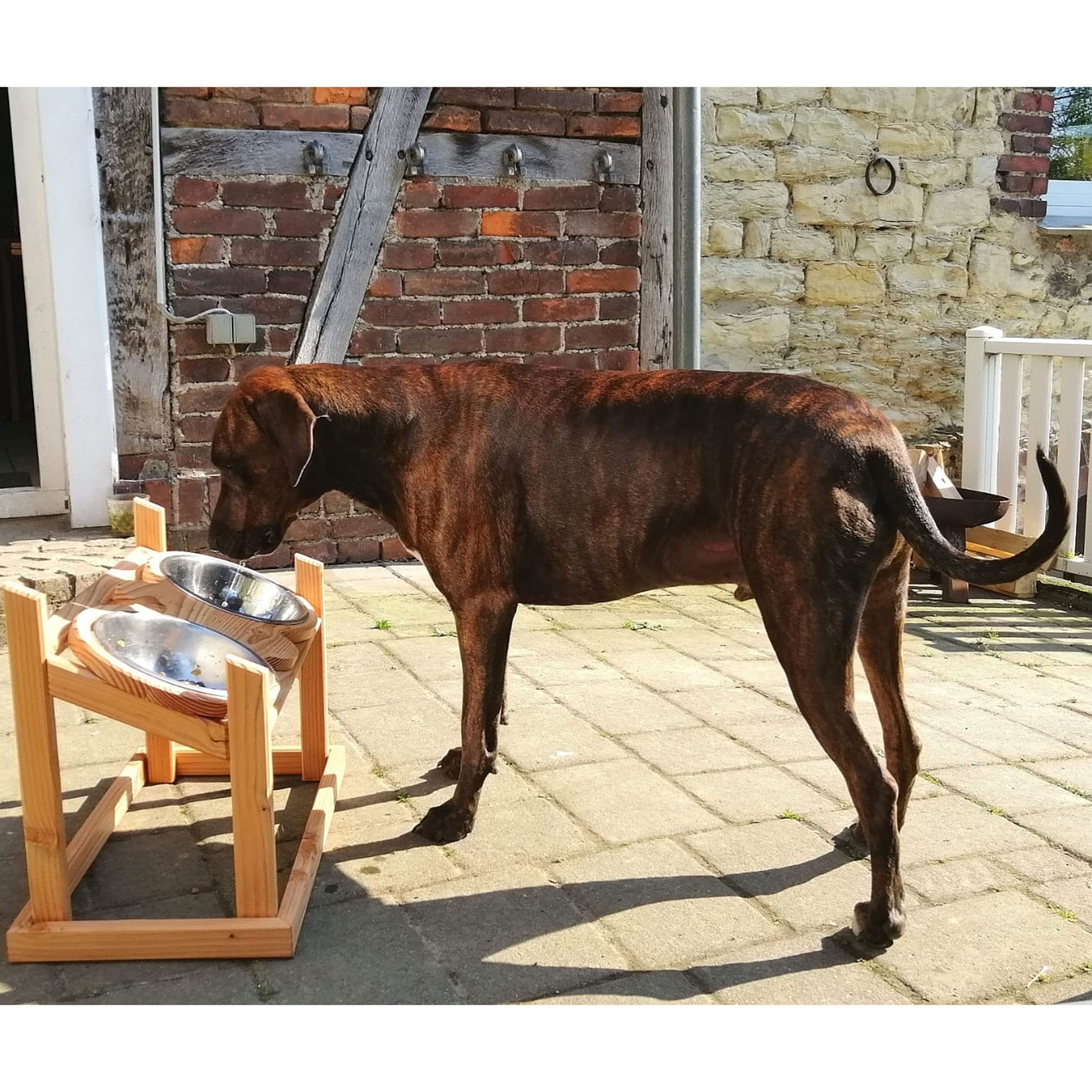 Venetto Comedero XXL para perros elevado, para perros grandes, madera de Douglas maciza, personalizable